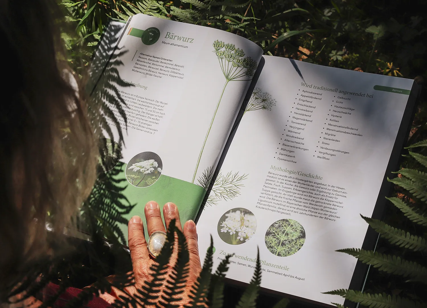 HERBARIA Buch