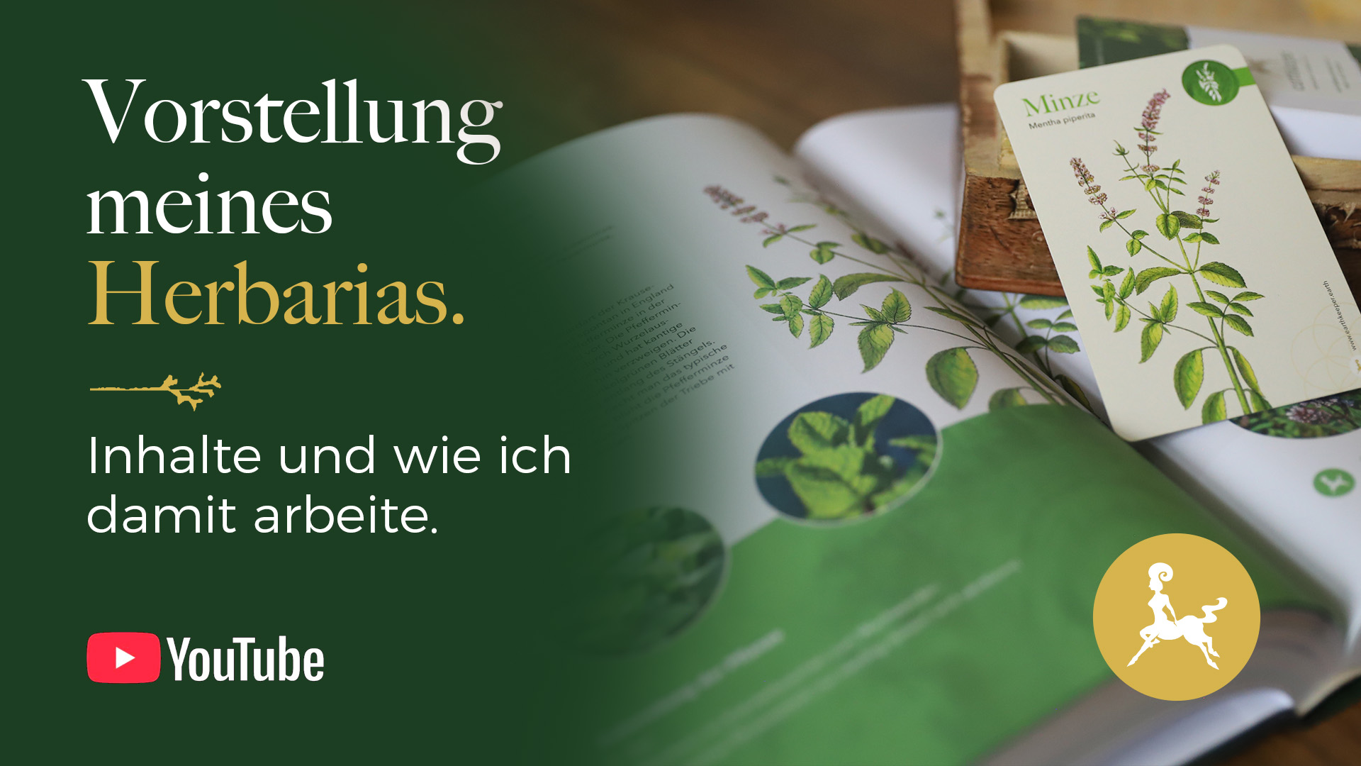 Vorstellung meines Herbarias